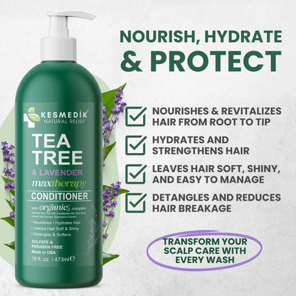 Tea Tree & Lavender Conditioner – Hydrates & Soothes Scalp, 16 fl oz – Amazon gallery 2