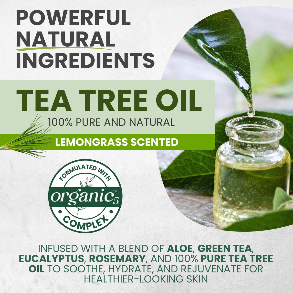 Tea Tree & Lemongrass Body Wash MaxTherapy – Limited Edition, 16 oz – Amazon gallery 4