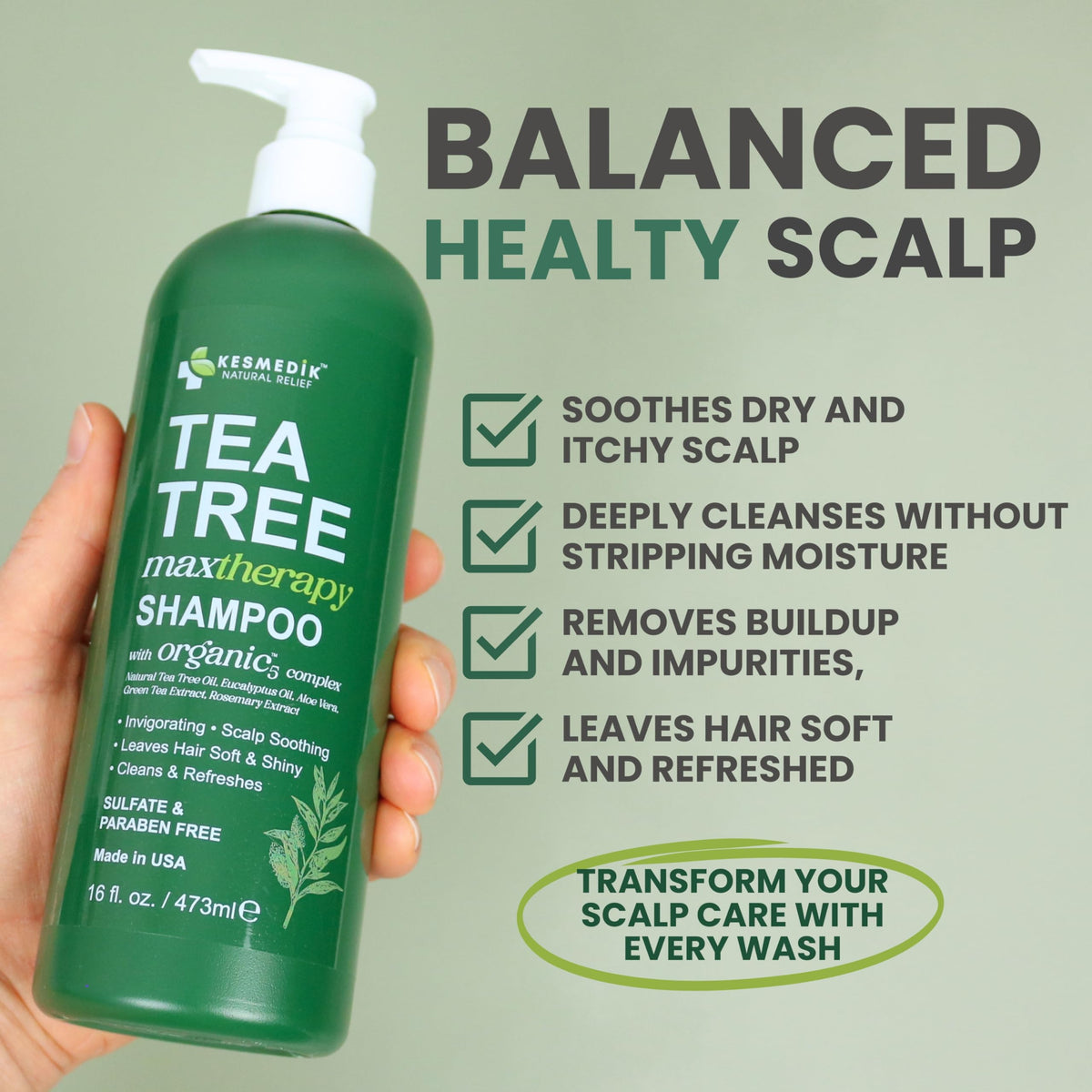 Tea Tree Shampoo MaxTherapy – Clarifying & Itchy Scalp Relief, 16 oz – Amazon gallery 2