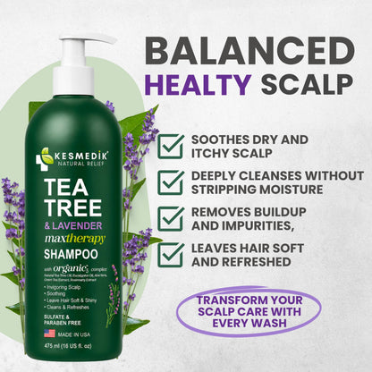 Tea Tree & Lavender Shampoo – Soothes Dry, Itchy Scalp, 16 fl oz – Amazon gallery 3