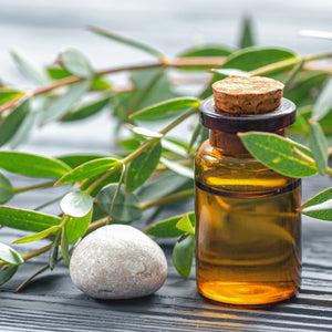 Eucalyptus