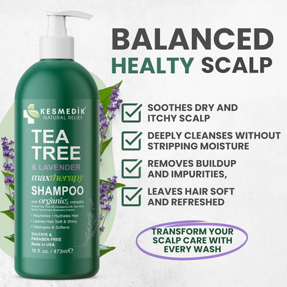 Tea Tree & Lavender Shampoo – Soothes Dry, Itchy Scalp, 16 fl oz