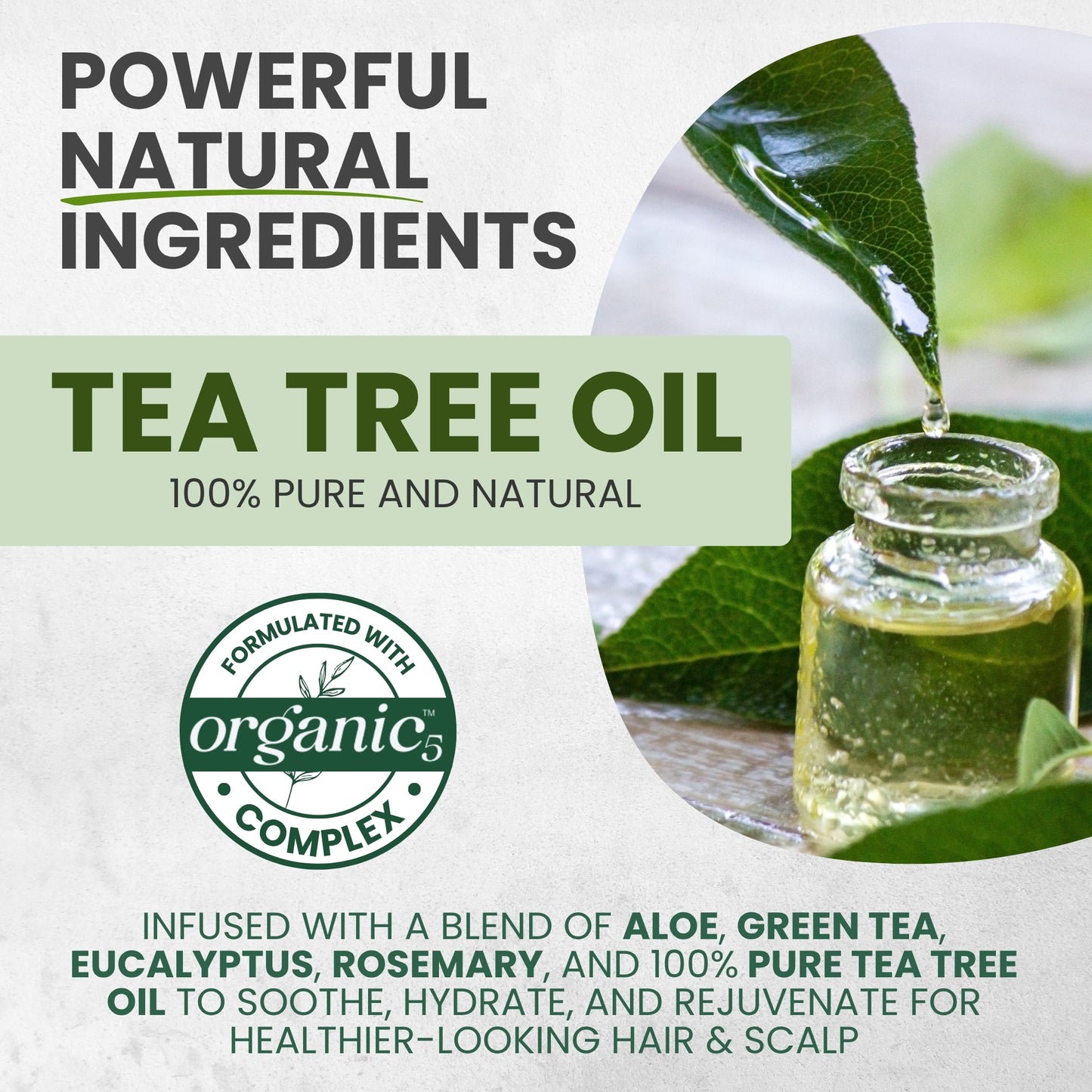 Tea Tree Oil Leave-In Conditioner Detangler Spray – Frizz Control & Scalp Relief, 8 oz