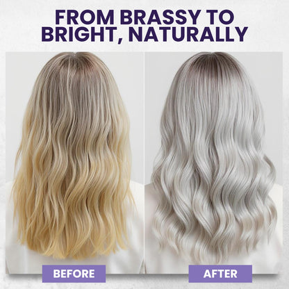 Tea Tree Purple Conditioner – Anti-Brass Toner for Blonde & Silver Hair, 16 oz