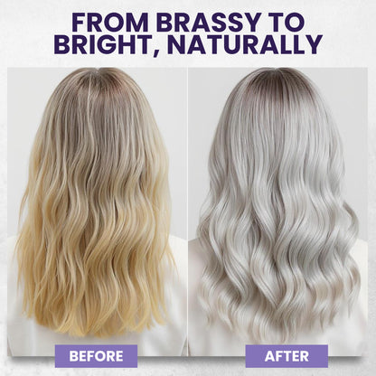 Tea Tree Purple Shampoo – Anti-Brass Toner for Color-Treated Hair, 16 oz