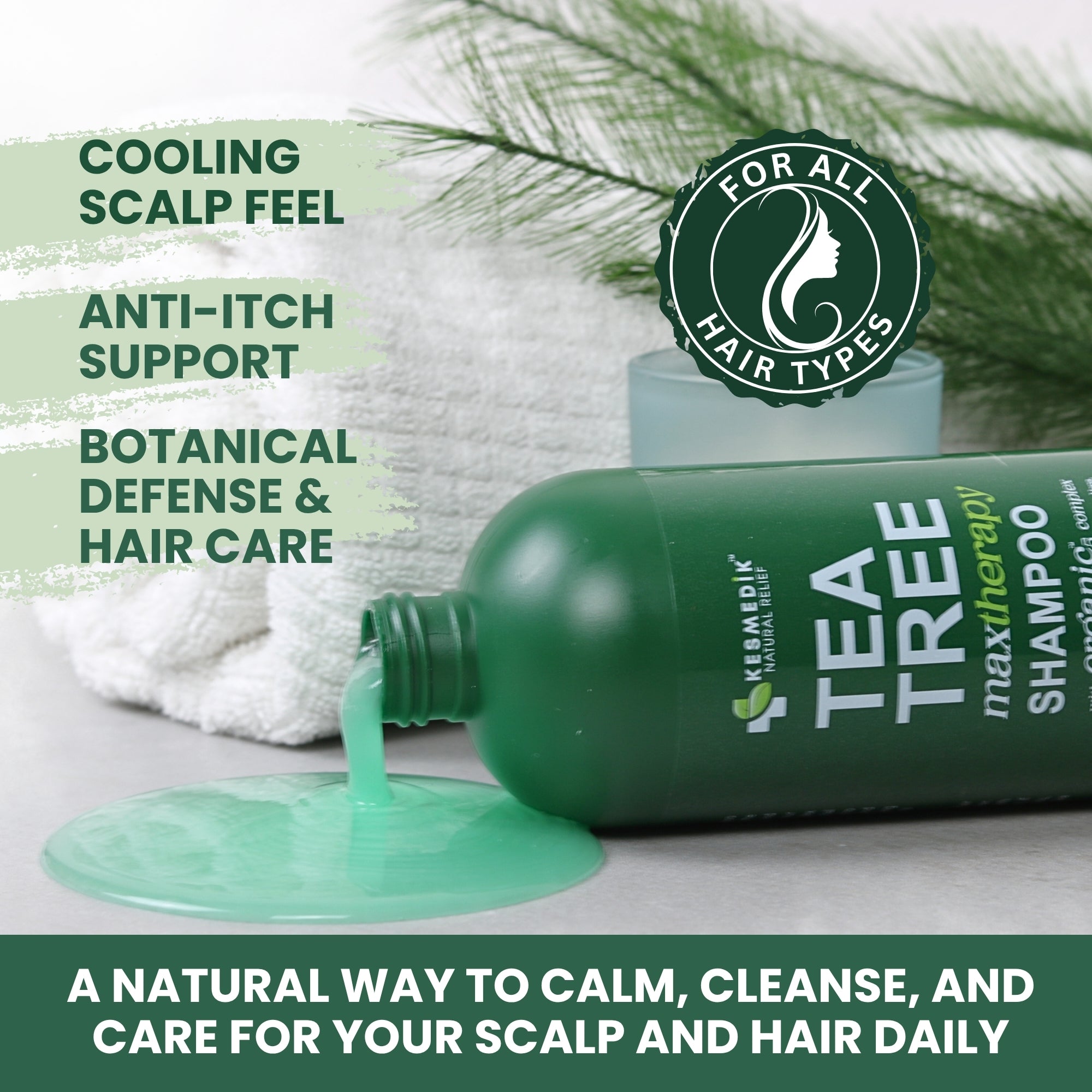 Tea Tree Shampoo for Itchy Scalp & Oily Hair, 16 oz – Kesmedik