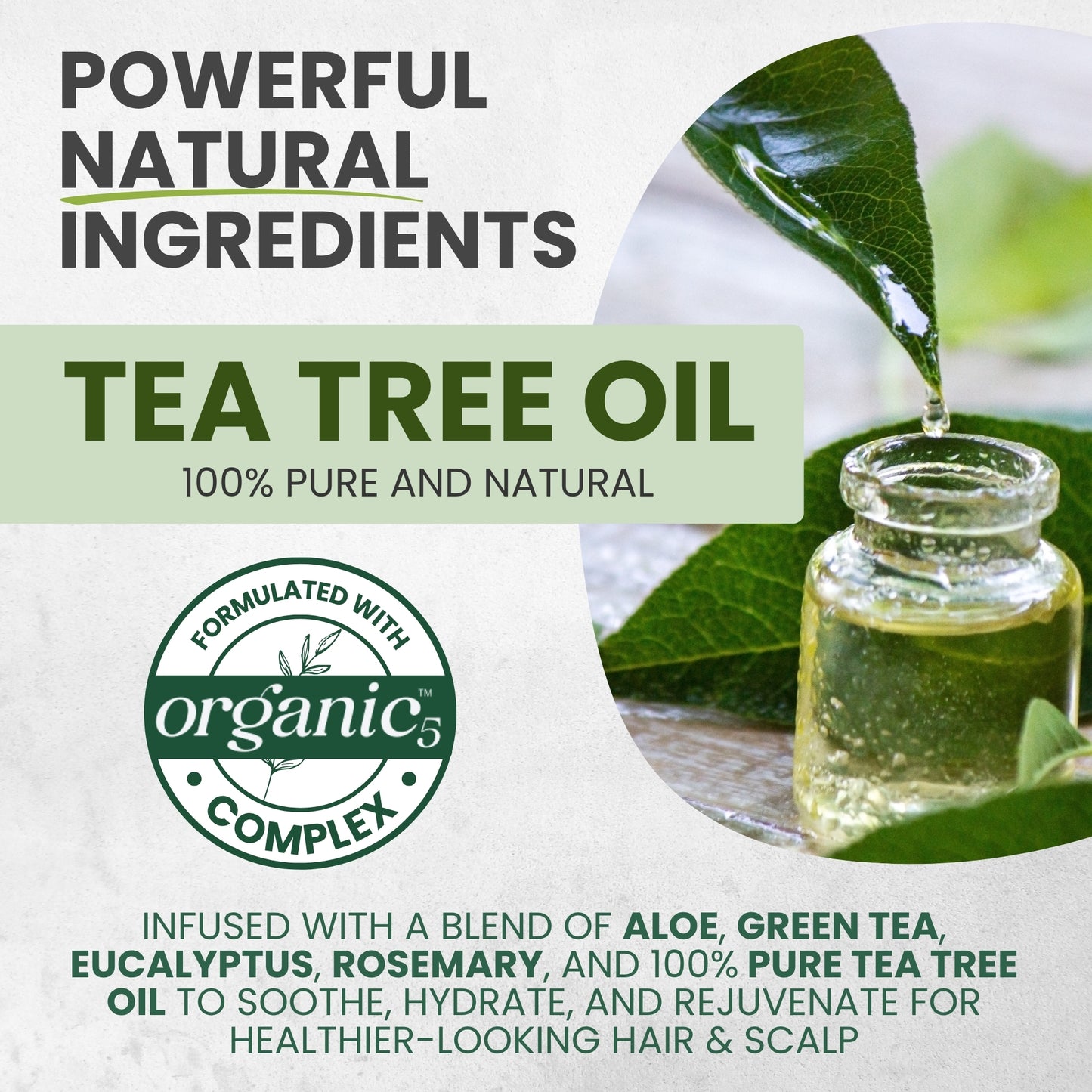 Tea Tree Shampoo & Conditioner MaxTherapy Set – Itchy Scalp & Clarifying Care, 16 oz