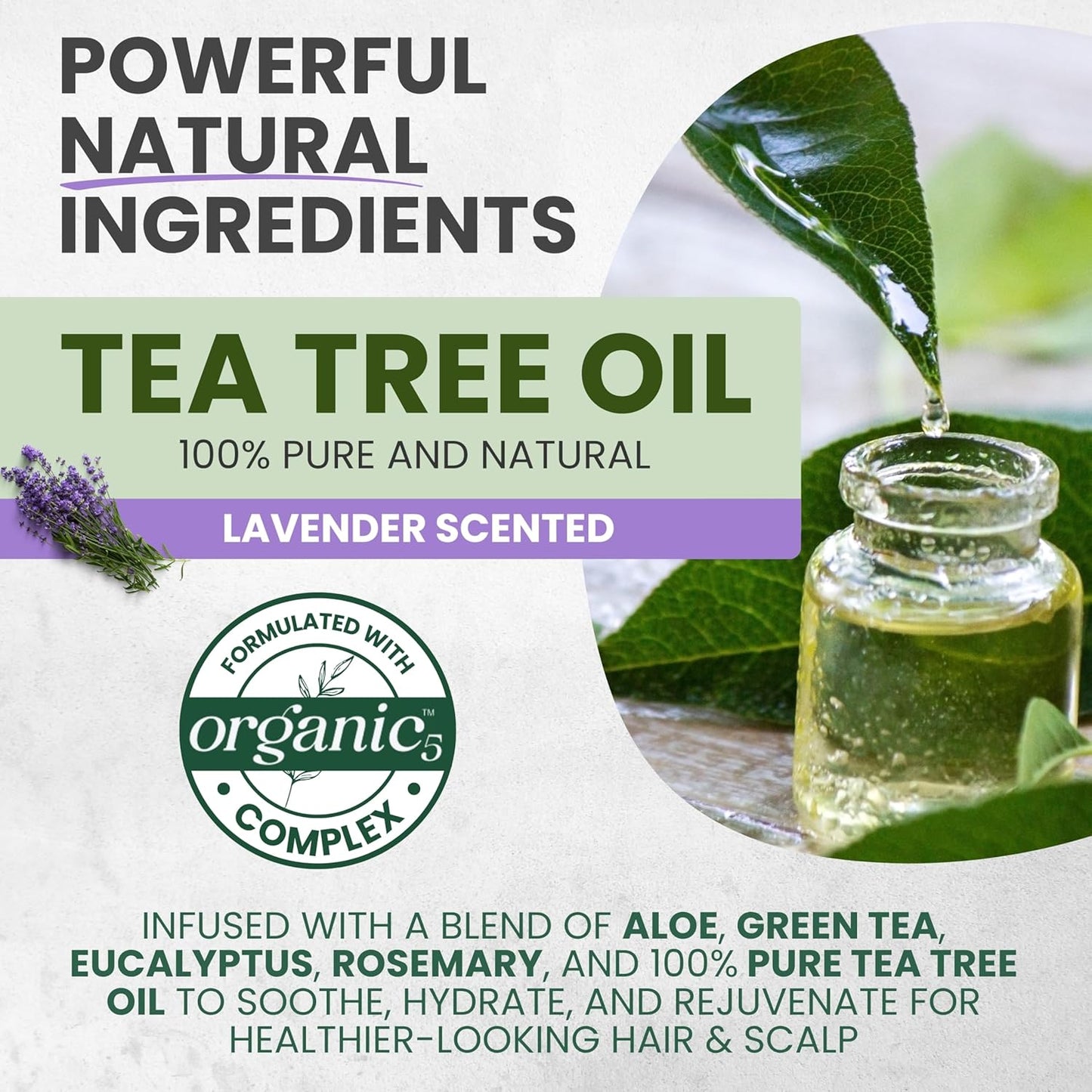 Tea Tree Lavender Shampoo & Conditioner Set – Scalp Soothing & Clarifying, 16 oz