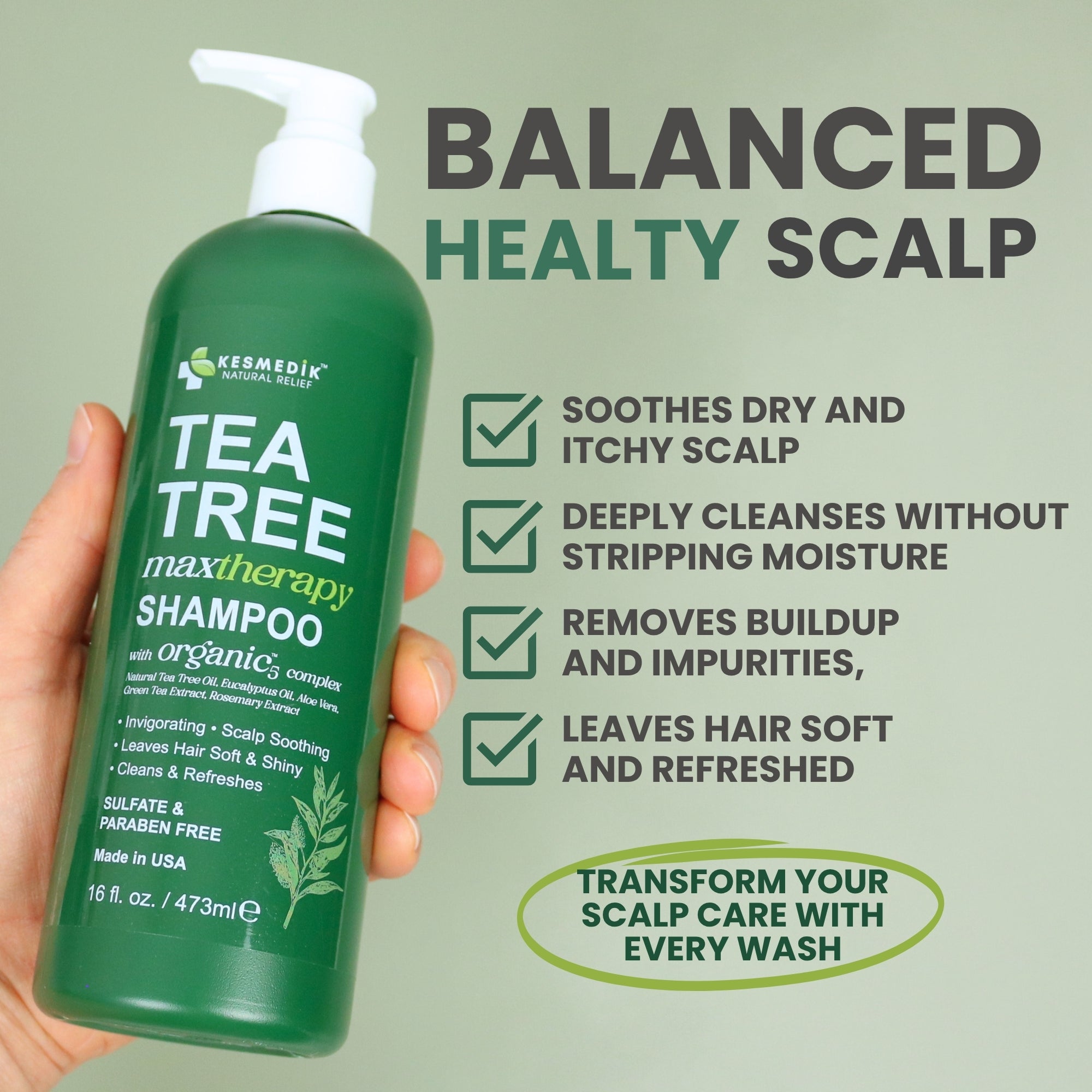 Tea Tree Shampoo for Itchy Scalp & Oily Hair, 16 oz – Kesmedik